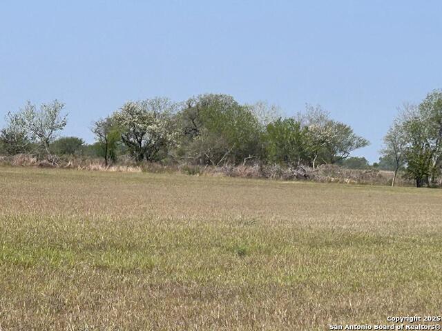 Listing photo id 13 for 000 Fm 888  