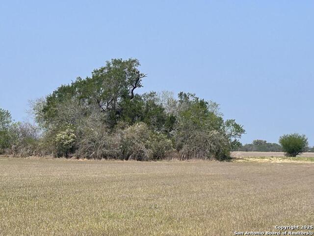 Listing photo id 15 for 000 Fm 888  