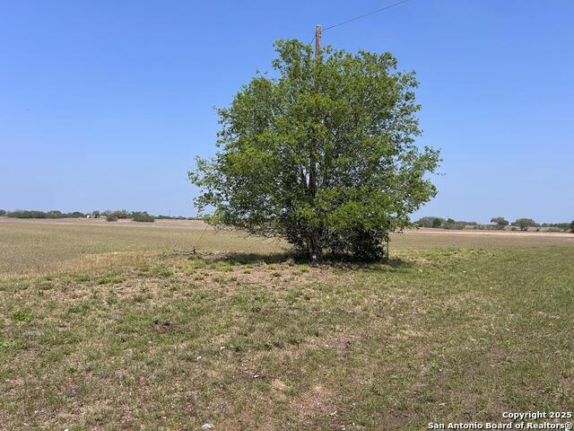 Listing photo id 6 for 000 Fm 888  