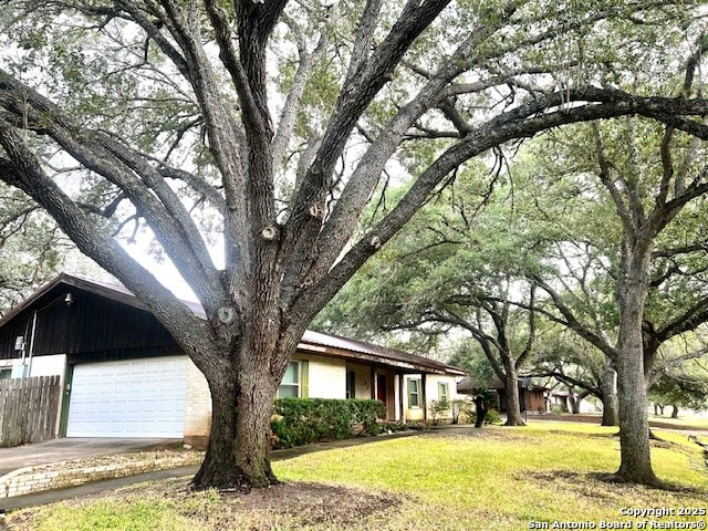 Image 49 of 50 For 40 Encino Loma