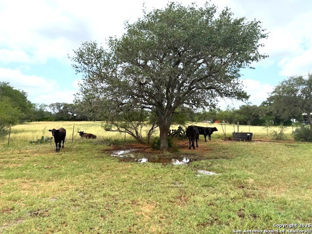 Listing photo id 9 for 3737 Cr 306  