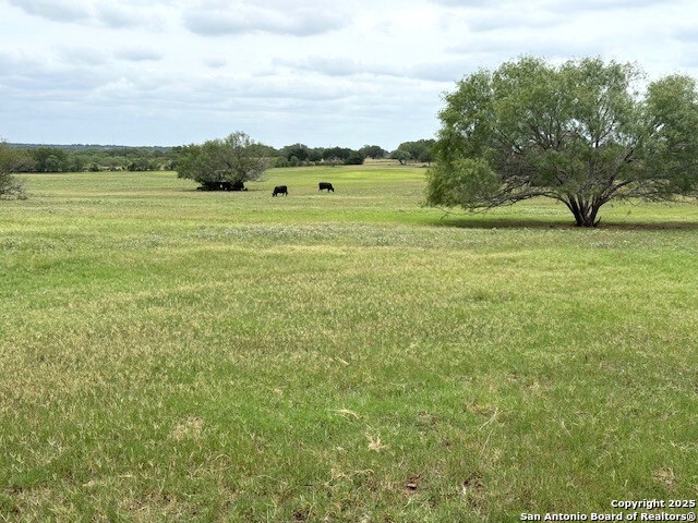 Listing photo id 10 for 3737 Cr 306  