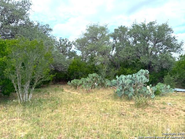 Listing photo id 14 for 3737 Cr 306  