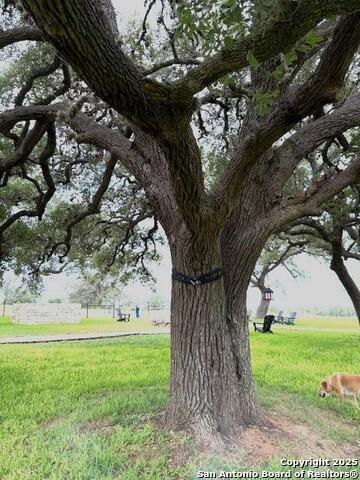 Listing photo id 20 for 3737 Cr 306  