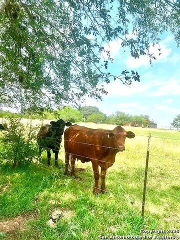 Listing photo id 30 for 3737 Cr 306  