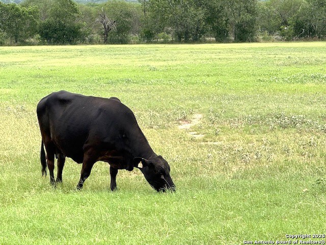 Listing photo id 33 for 3737 Cr 306  