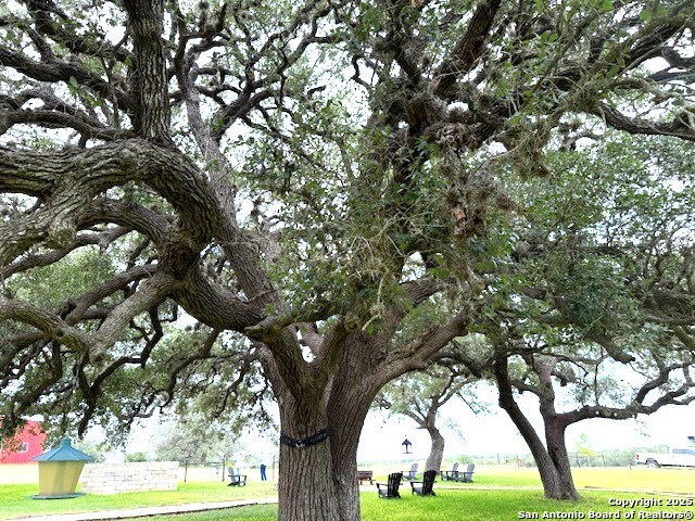 Listing photo id 37 for 3737 Cr 306  