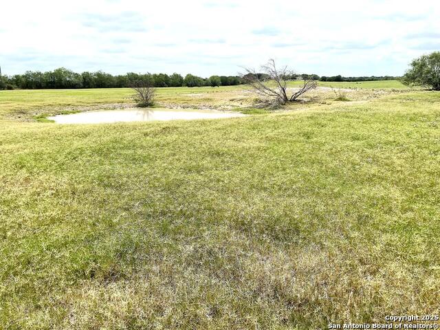 Listing photo id 66 for 3737 Cr 306  