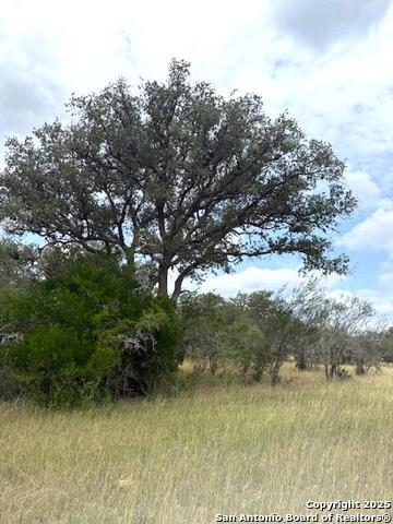 Listing photo id 71 for 3737 Cr 306  