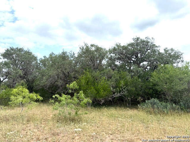 Listing photo id 72 for 3737 Cr 306  