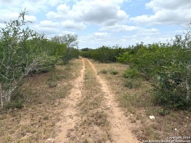 Listing photo id 73 for 3737 Cr 306  