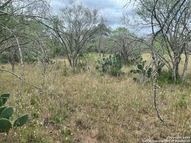 Listing photo id 77 for 3737 Cr 306  