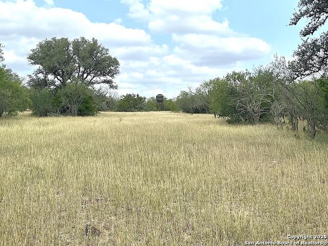 Listing photo id 78 for 3737 Cr 306  