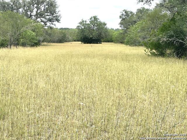 Listing photo id 79 for 3737 Cr 306  