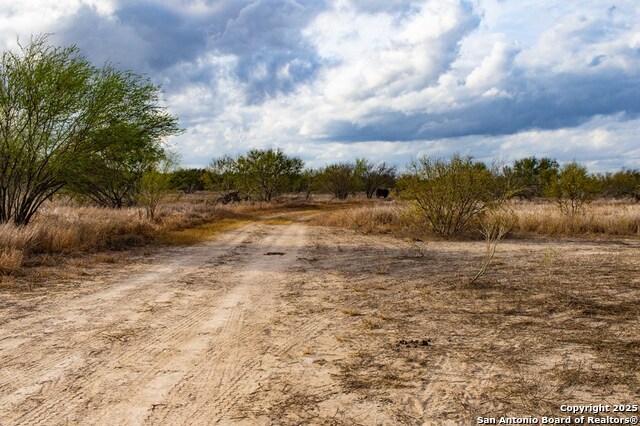 Image 16 of 24 For 0000 F.m. 799