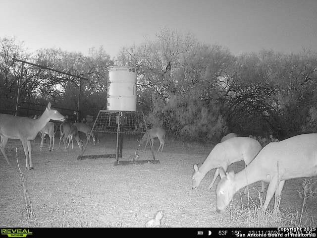 Image 20 of 24 For 0000 F.m. 799