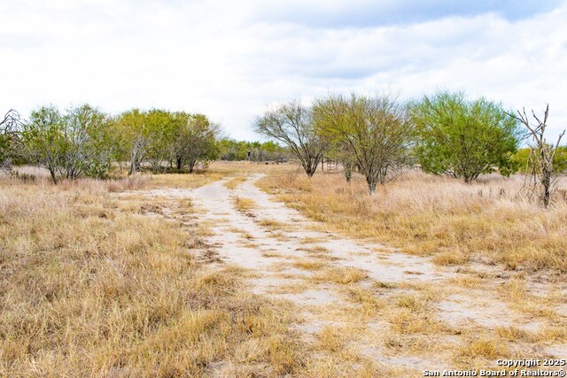 Image 6 of 24 For 0000 F.m. 799