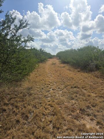 Details for 0 Cr 170 , Alice, TX 78332