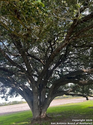 Image 13 of 18 For 3232 Fm 797