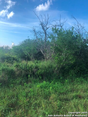 Image 2 of 10 For Tbd Anaqua  