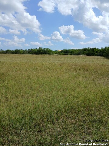 Listing photo id 9 for 1121 Colony Drive