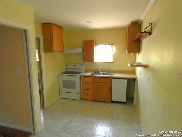 Image 3 of 12 For 911 Steiner E