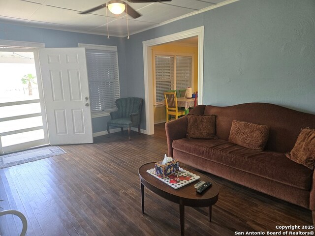 Image 10 of 26 For 464 Cr 613