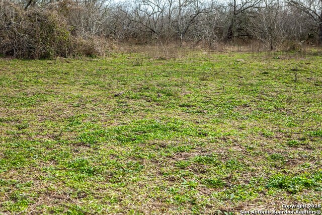 Image 11 of 38 For 8684 Mineral Cemetery Rd