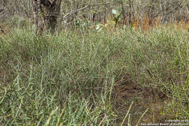 Image 15 of 38 For 8684 Mineral Cemetery Rd