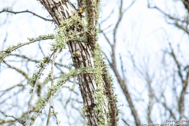 Image 17 of 38 For 8684 Mineral Cemetery Rd