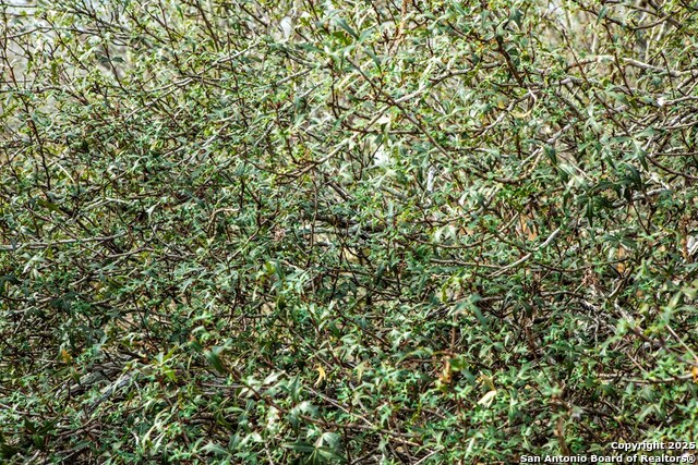 Image 18 of 38 For 8684 Mineral Cemetery Rd