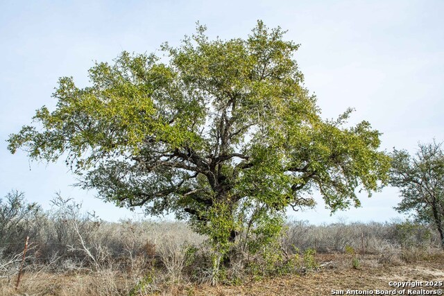 Image 24 of 38 For 8684 Mineral Cemetery Rd