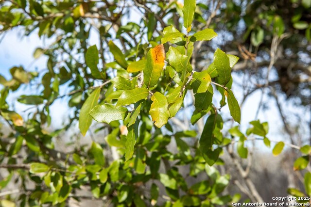 Image 25 of 38 For 8684 Mineral Cemetery Rd