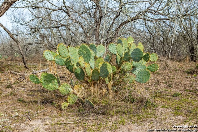 Image 8 of 38 For 8684 Mineral Cemetery Rd