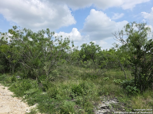 Image 10 of 12 For 000 Cr 312  