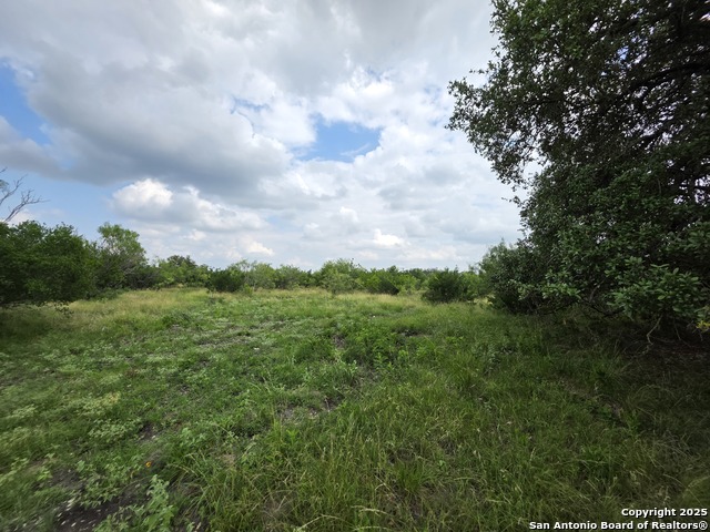 Image 11 of 12 For 000 Cr 312  