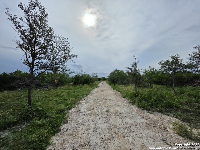 Image 3 of 12 For 000 Cr 312  