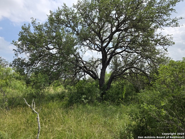 Image 6 of 12 For 000 Cr 312  