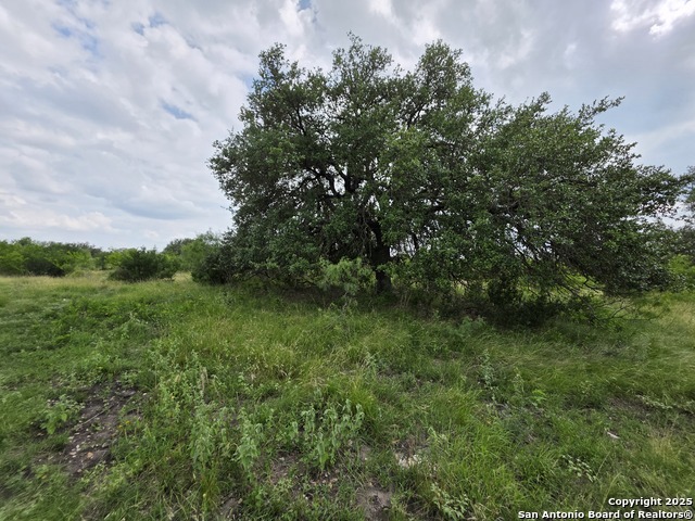 Image 7 of 12 For 000 Cr 312  