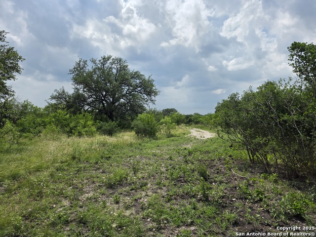 Image 8 of 12 For 000 Cr 312  