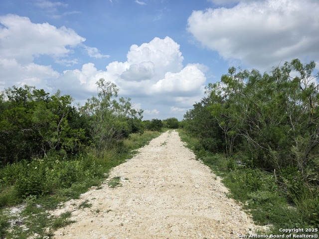 Image 9 of 12 For 000 Cr 312  