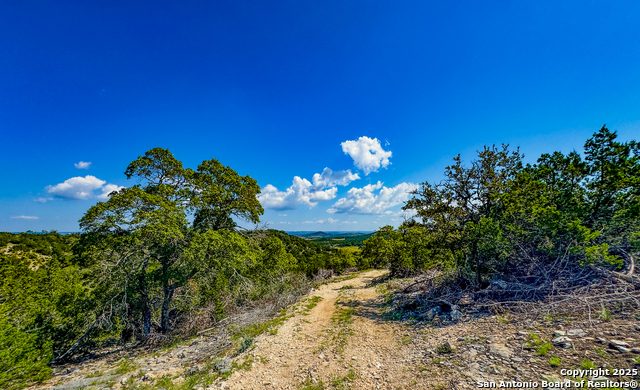 Listing photo id 4 for 380 Holiday Rd.