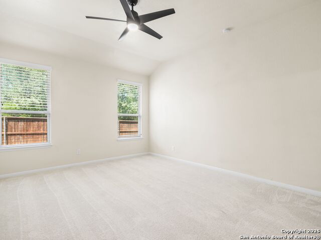 Image 18 of 32 For 22611 Carriage Bush