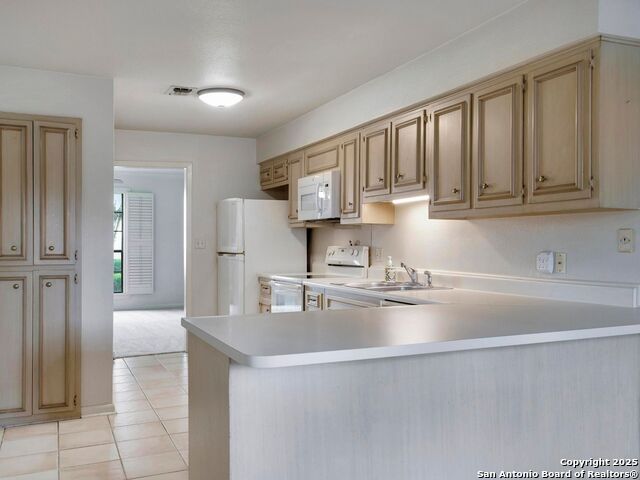 Listing photo id 17 for 2611 Eisenhauer Rd  901