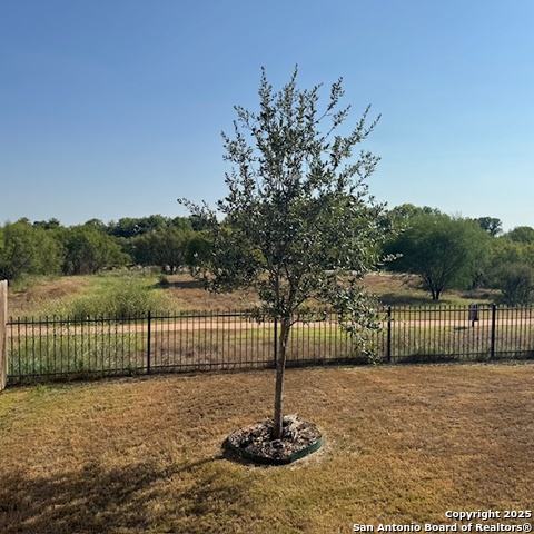 Image 8 of 8 For 321 Middle Green