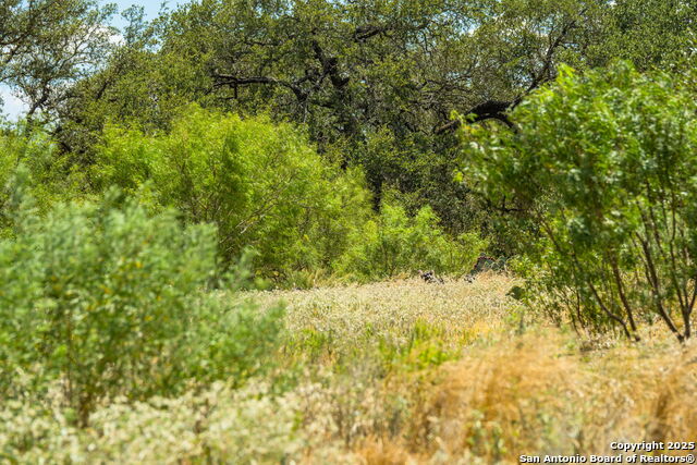 Image 26 of 47 For 1700 Bruce