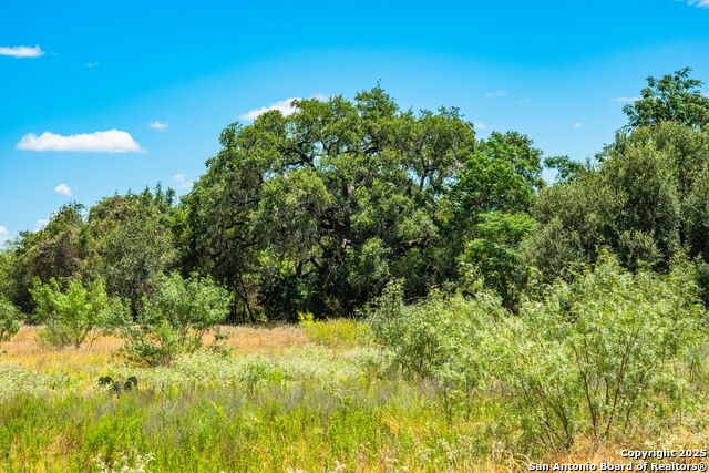 Image 27 of 47 For 1700 Bruce