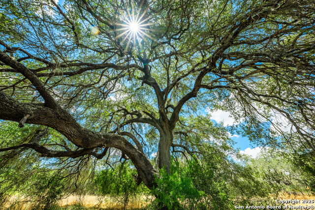 Image 28 of 47 For 1700 Bruce