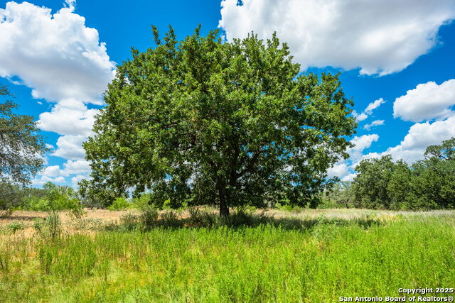 Image 29 of 47 For 1700 Bruce