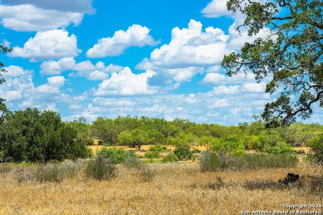 Image 31 of 47 For 1700 Bruce